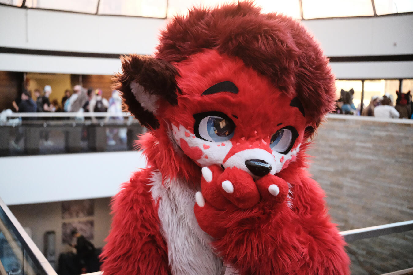 Timmy the Otter at the MFF dome (2024)