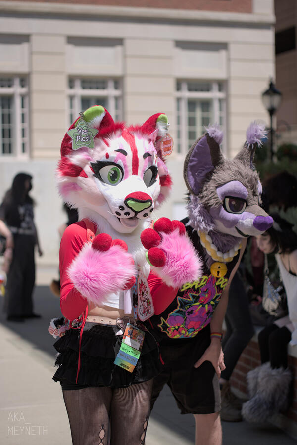 Fresa and Hijinx, Eufuria 2025