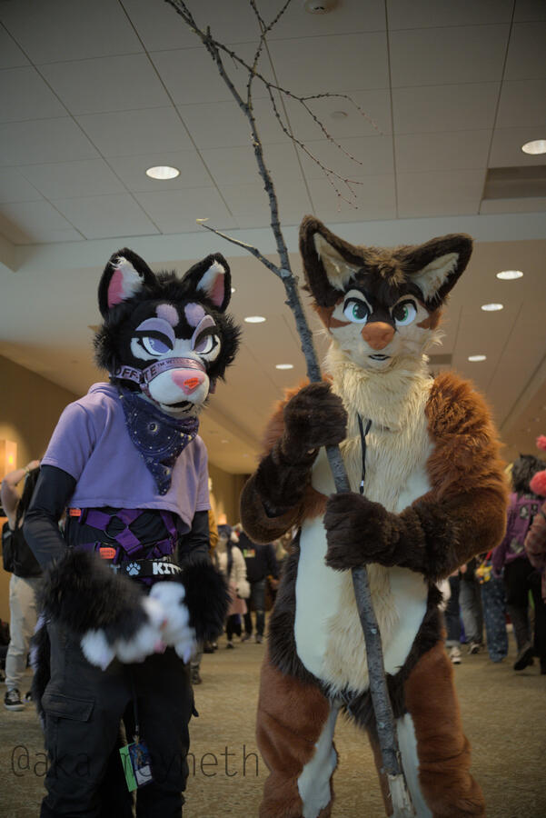 Alice and Lambda at ANE 2025 (Lambda found a stick)
