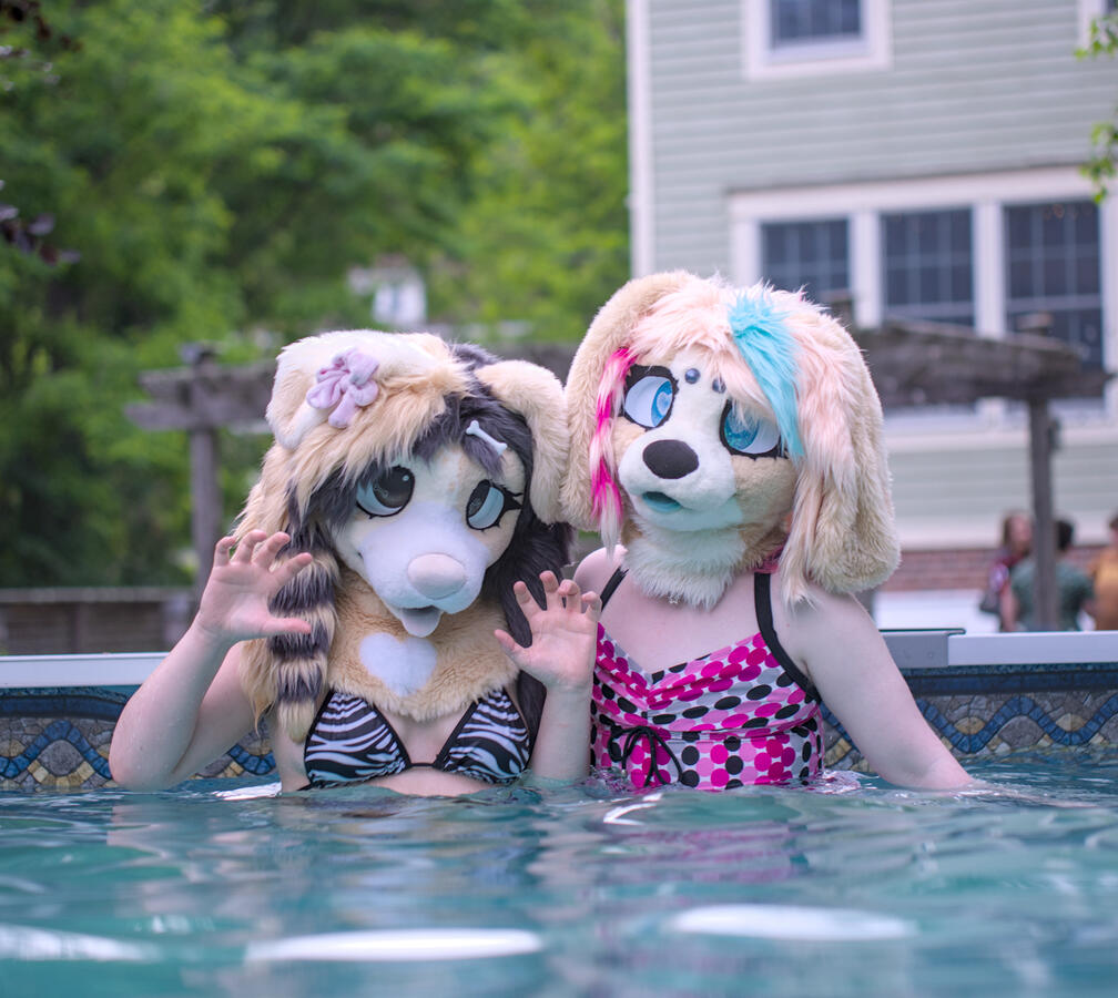 Knives &amp; Breakfast posing while swimming