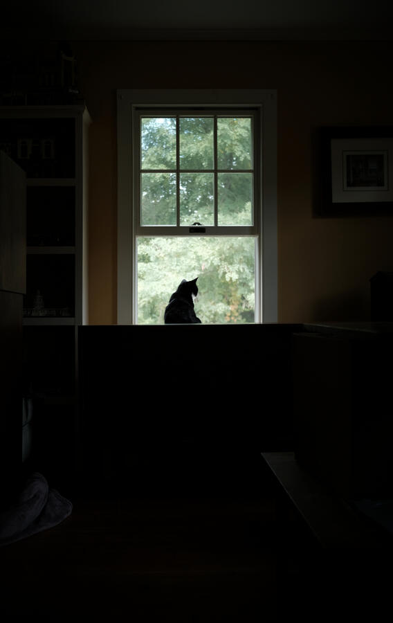 Untitled